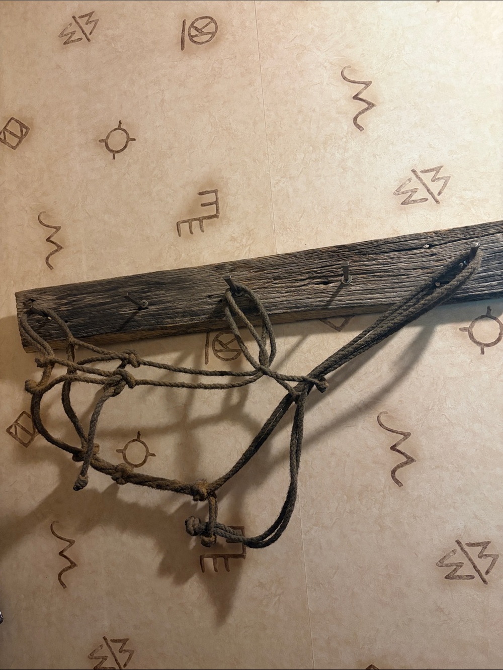 Loping hackamore